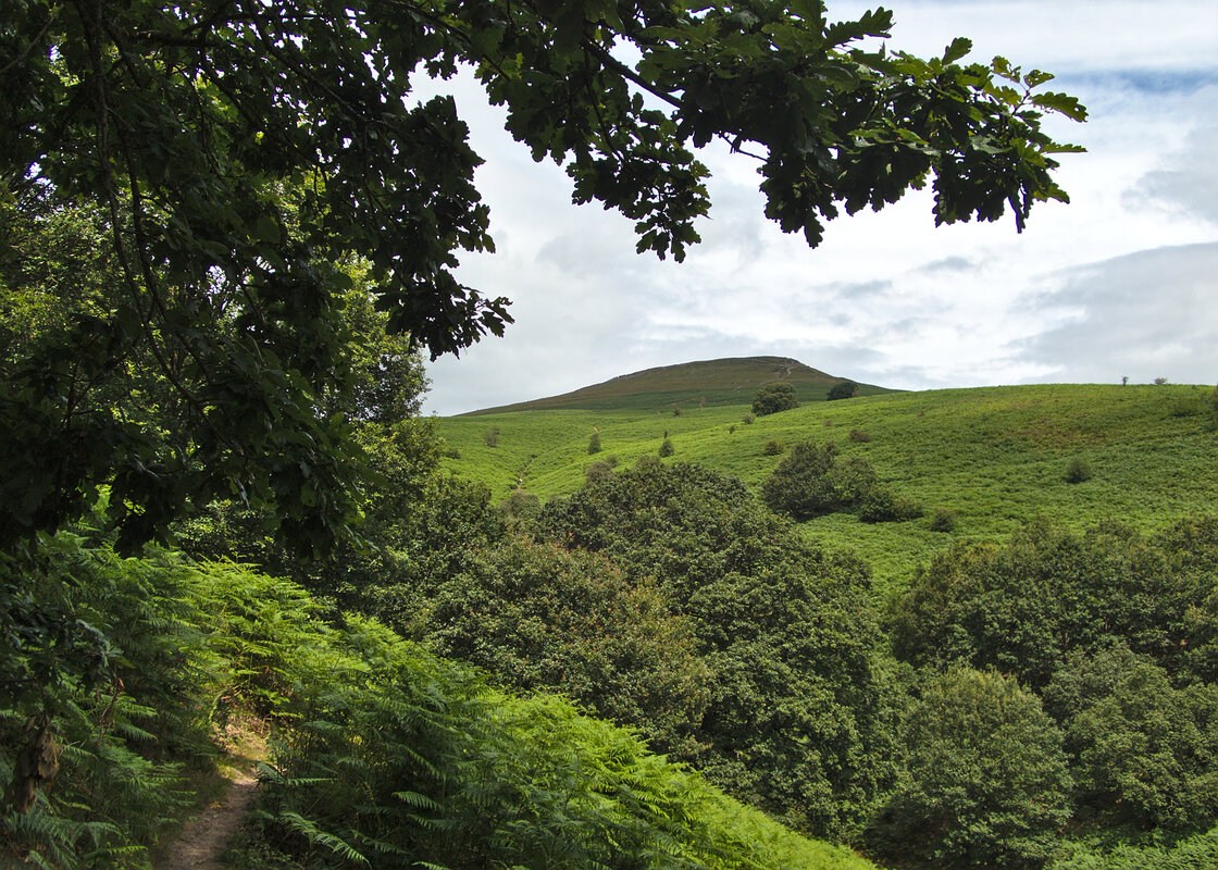 Sugar Loaf Summit