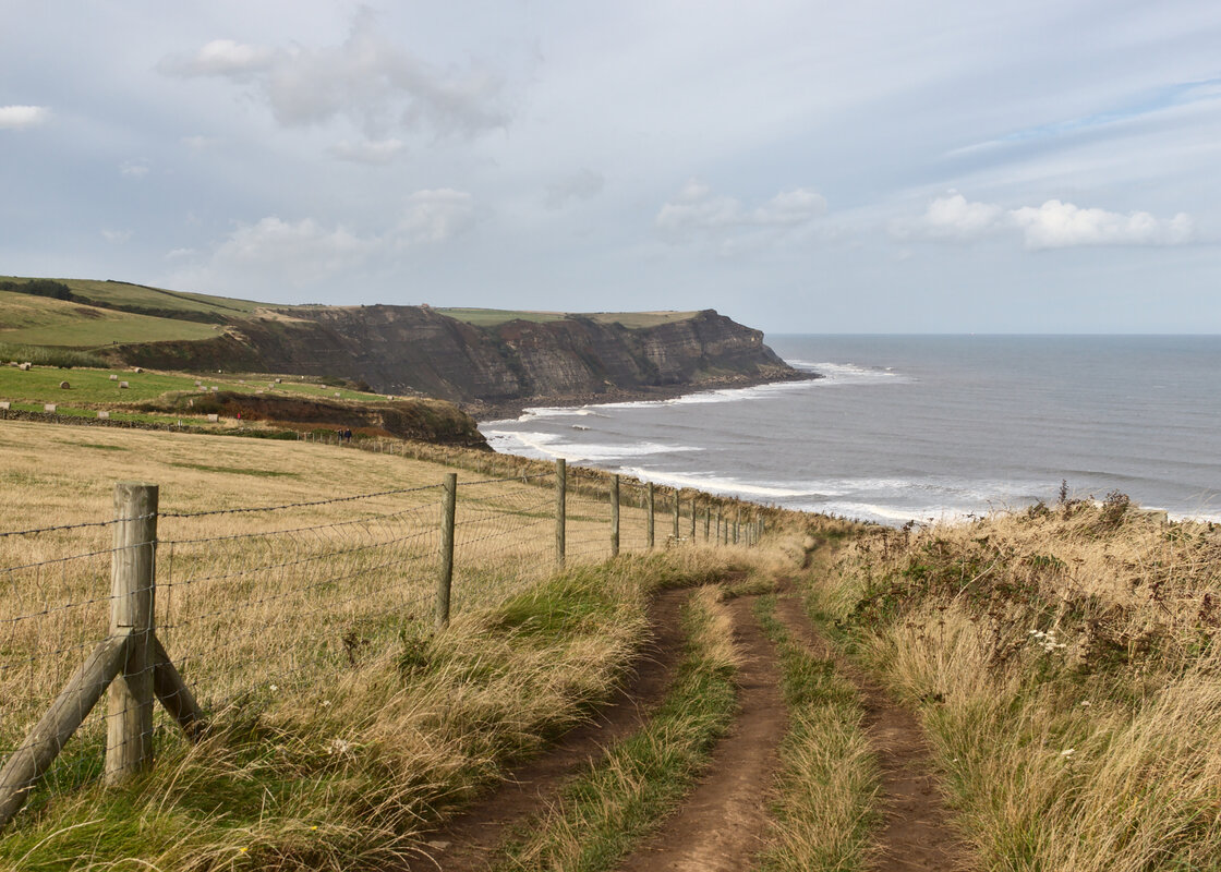 Coast Path