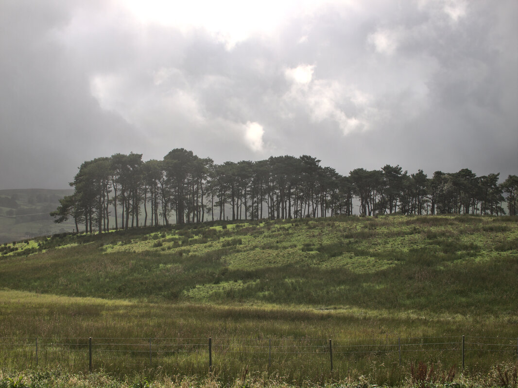 Tebay