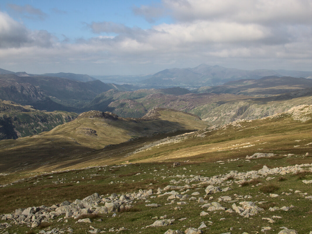 Summit of High Raise