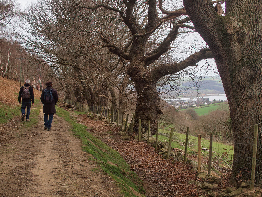 Conwy Mountain