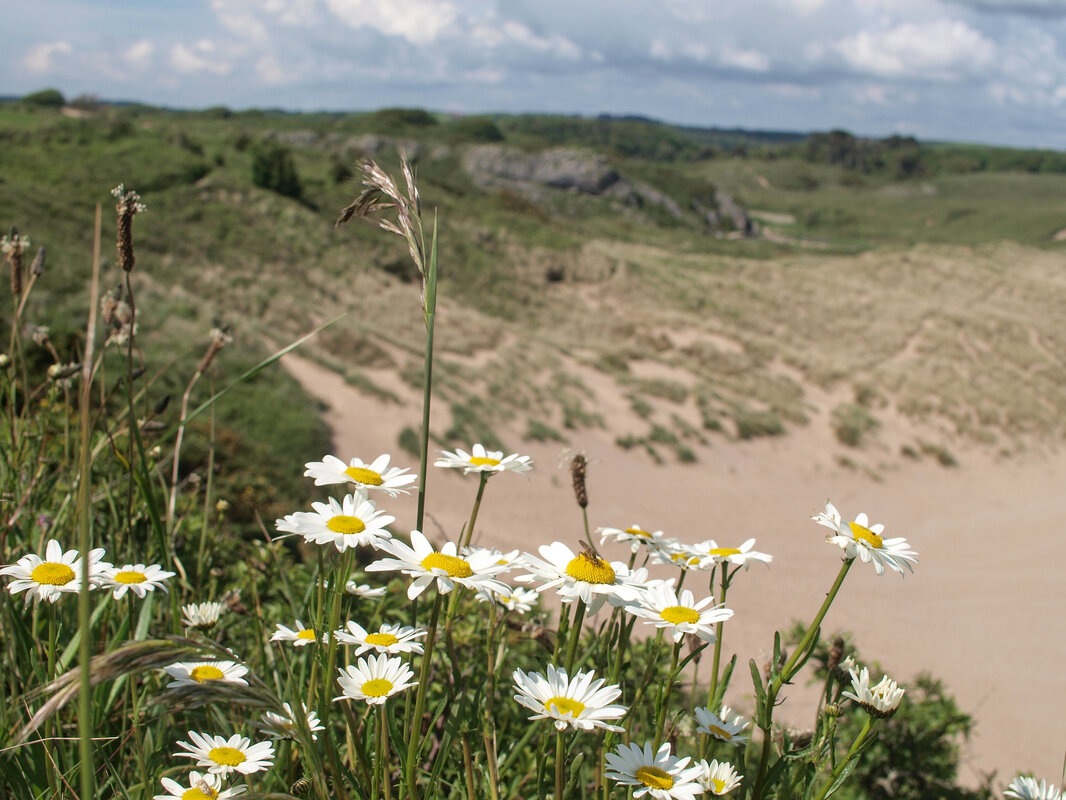 Sand dunes