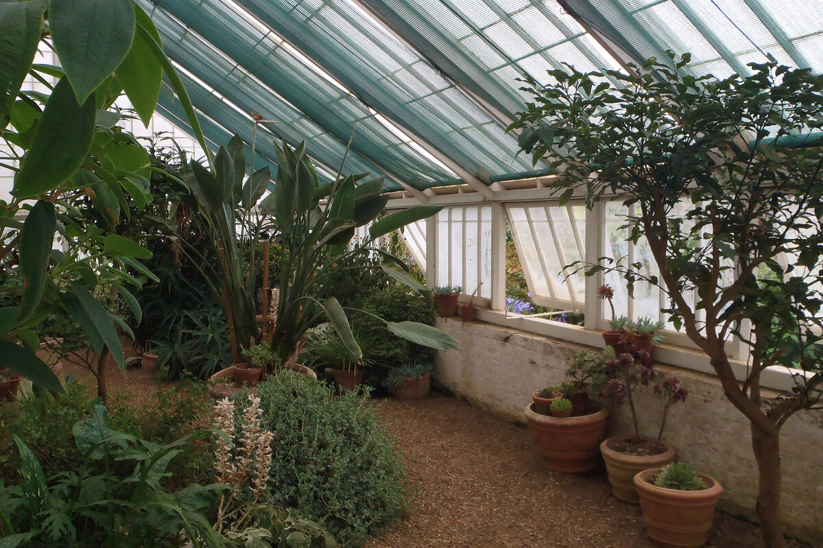 Greenhouses at Felbrigg