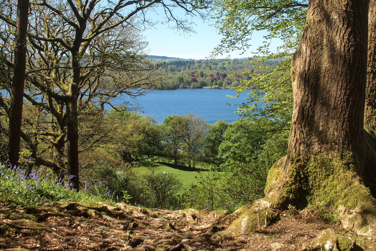 Windermere from Stagshaw Gardens