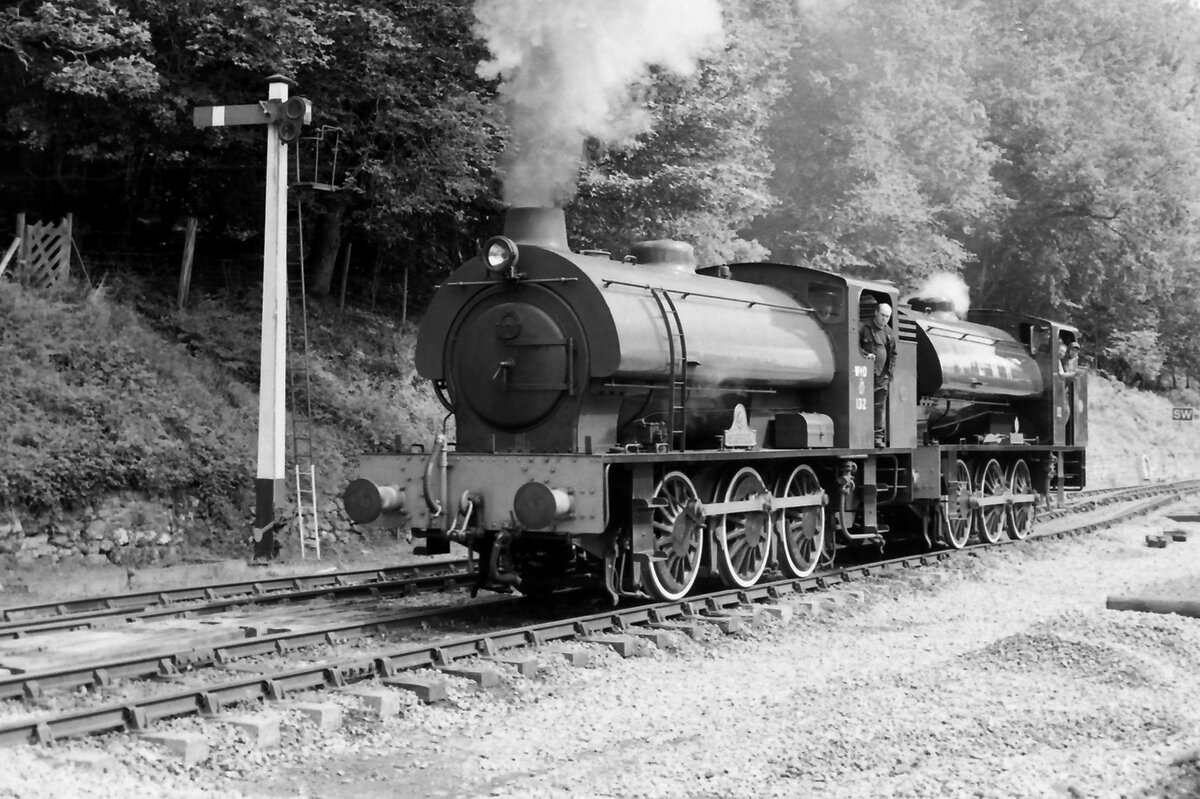Sapper and Rennes running around at Parkend