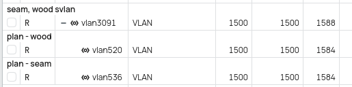 SVLAN 3091